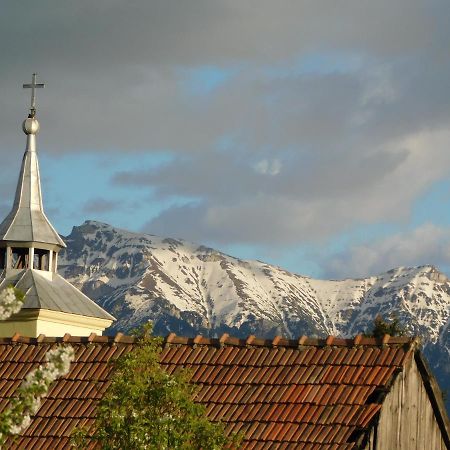Mountain Vista Suites Zărneşti 외부 사진