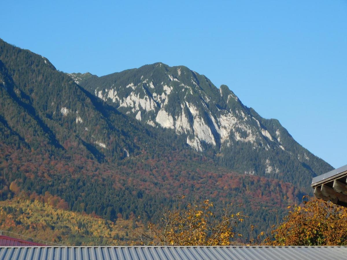 Mountain Vista Suites Zărneşti 외부 사진