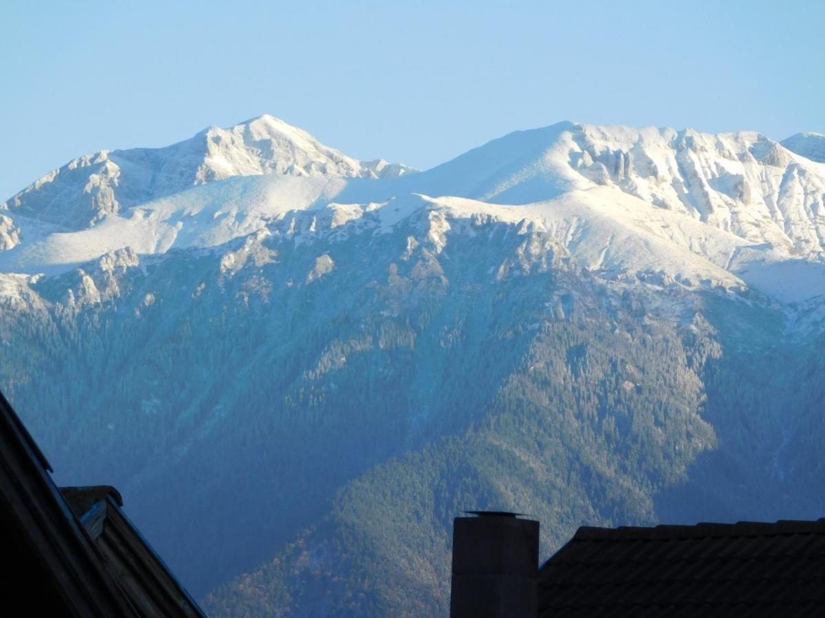 Mountain Vista Suites Zărneşti 외부 사진
