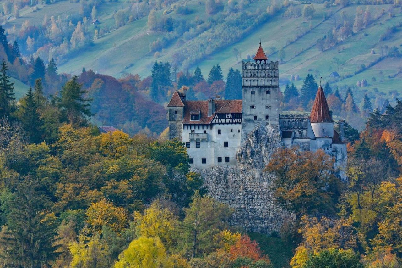 Mountain Vista Suites Zărneşti 외부 사진