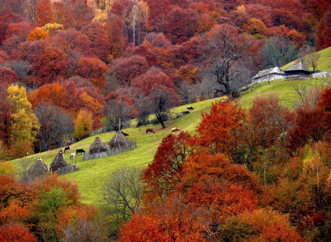 Mountain Vista Suites Zărneşti 외부 사진