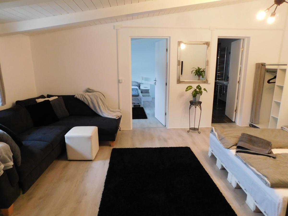 Mountain Vista Suites Zărneşti 외부 사진