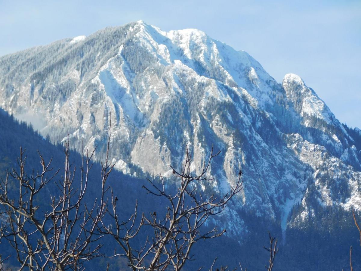 Mountain Vista Suites Zărneşti 외부 사진