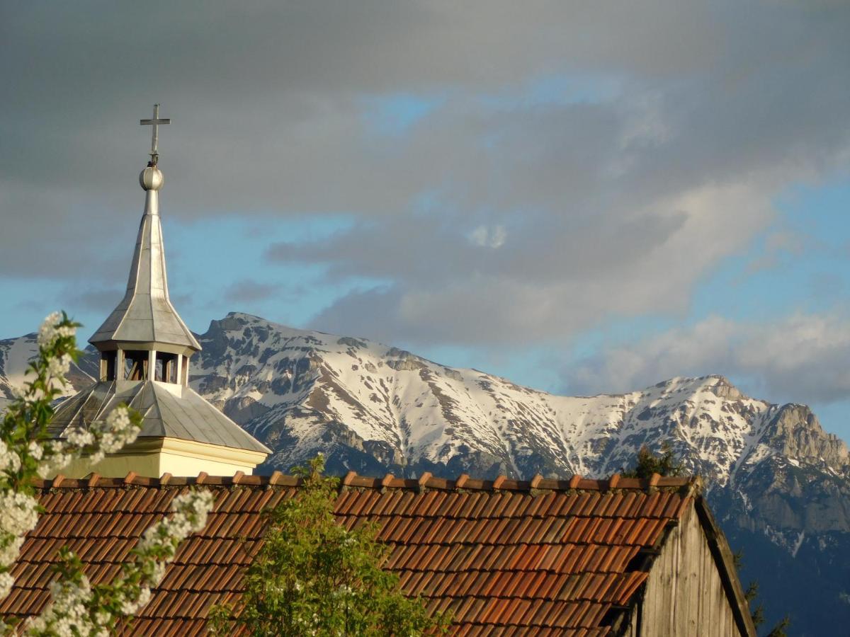 Mountain Vista Suites Zărneşti 외부 사진