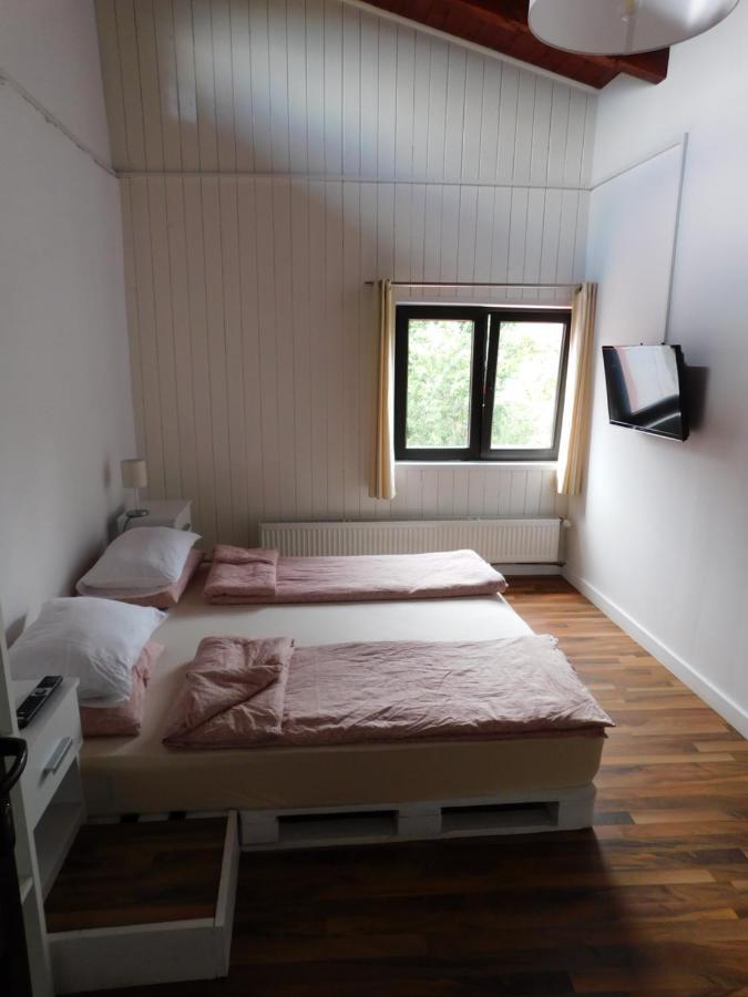 Mountain Vista Suites Zărneşti 외부 사진