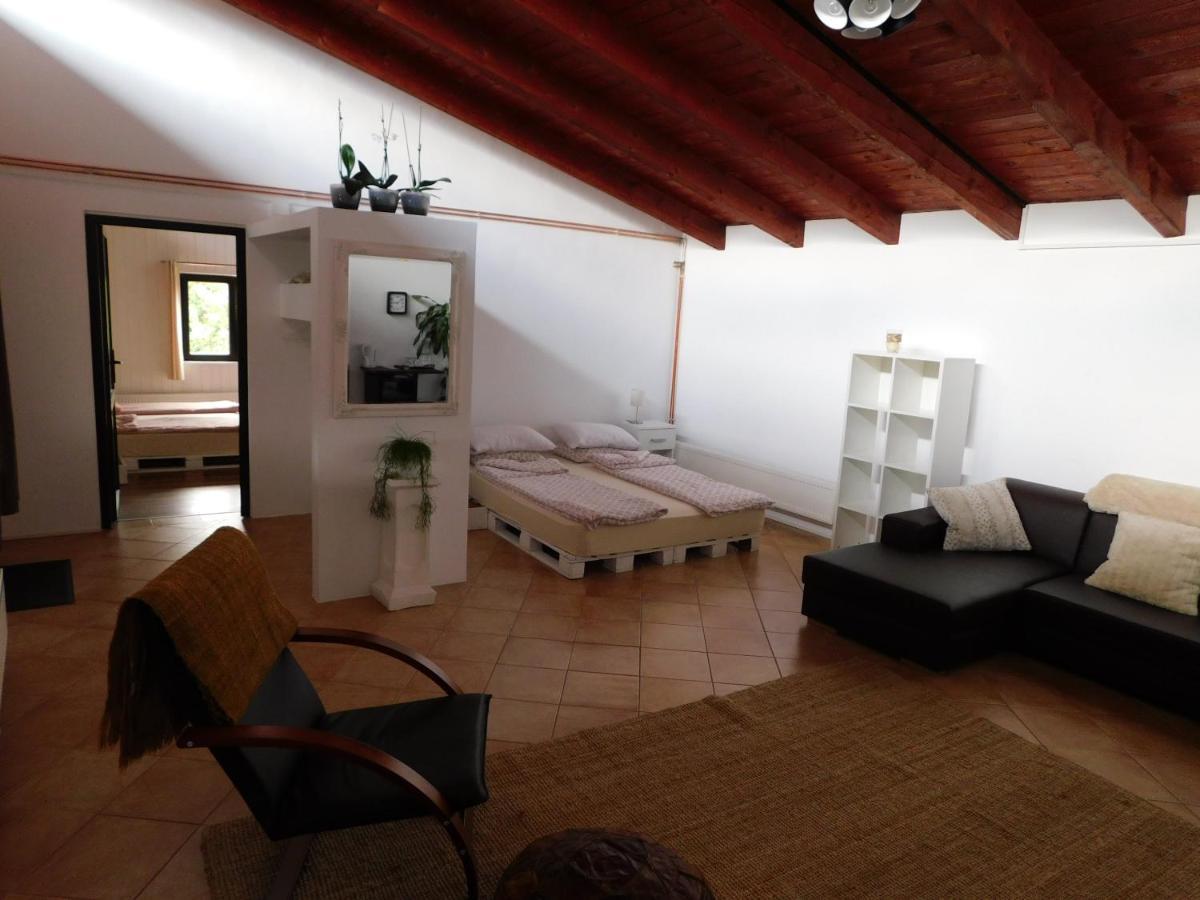 Mountain Vista Suites Zărneşti 외부 사진
